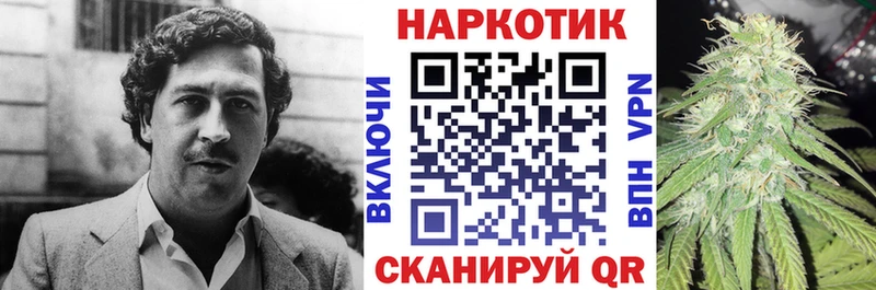 ГАШ Кириши