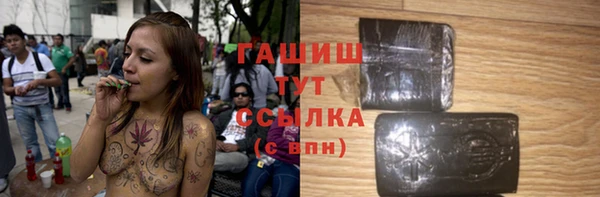 хмурый Арсеньев