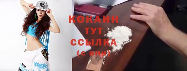 хмурый Арсеньев