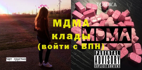 хмурый Арсеньев