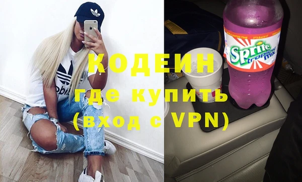 хмурый Арсеньев