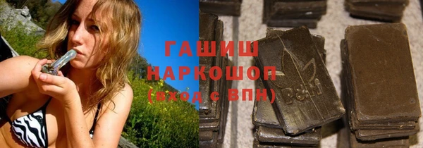 хмурый Арсеньев