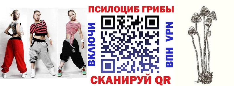 Галлюциногенные грибы GOLDEN TEACHER  блэк спрут маркетплейс  Кириши 